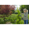 Ножницы для живой изгороди GARDENA PRECISIONCUT 12302-20.000.00